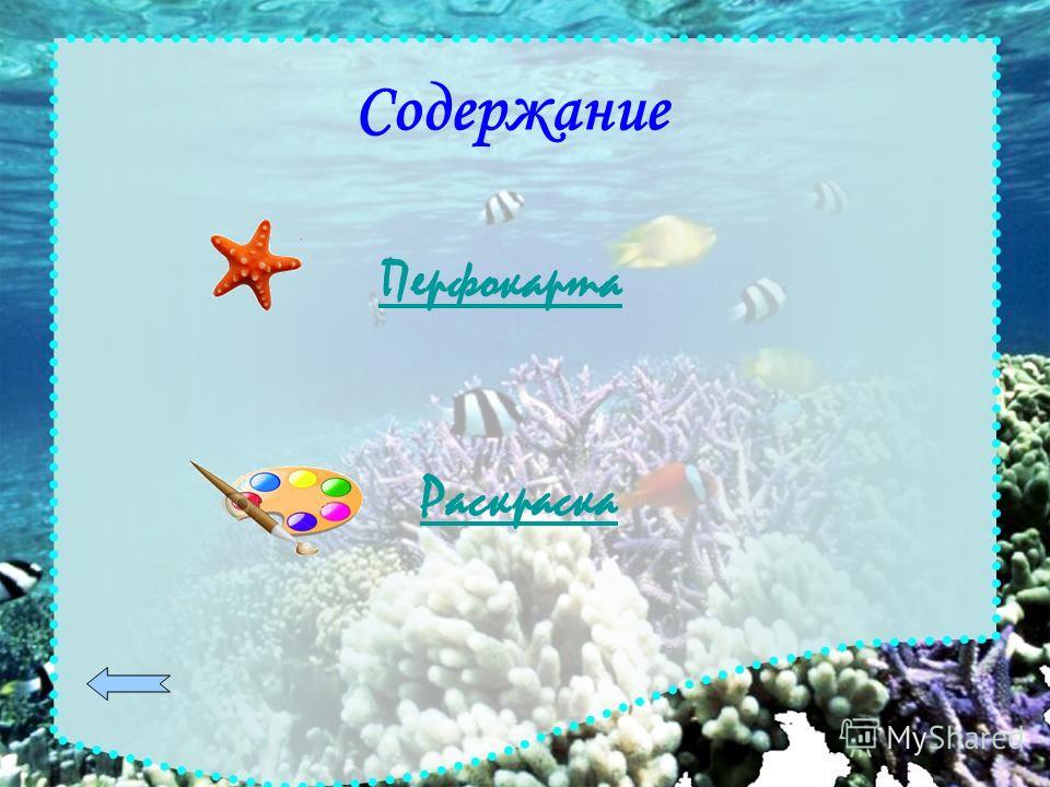 Раскраска число 4 Раскраска число 4