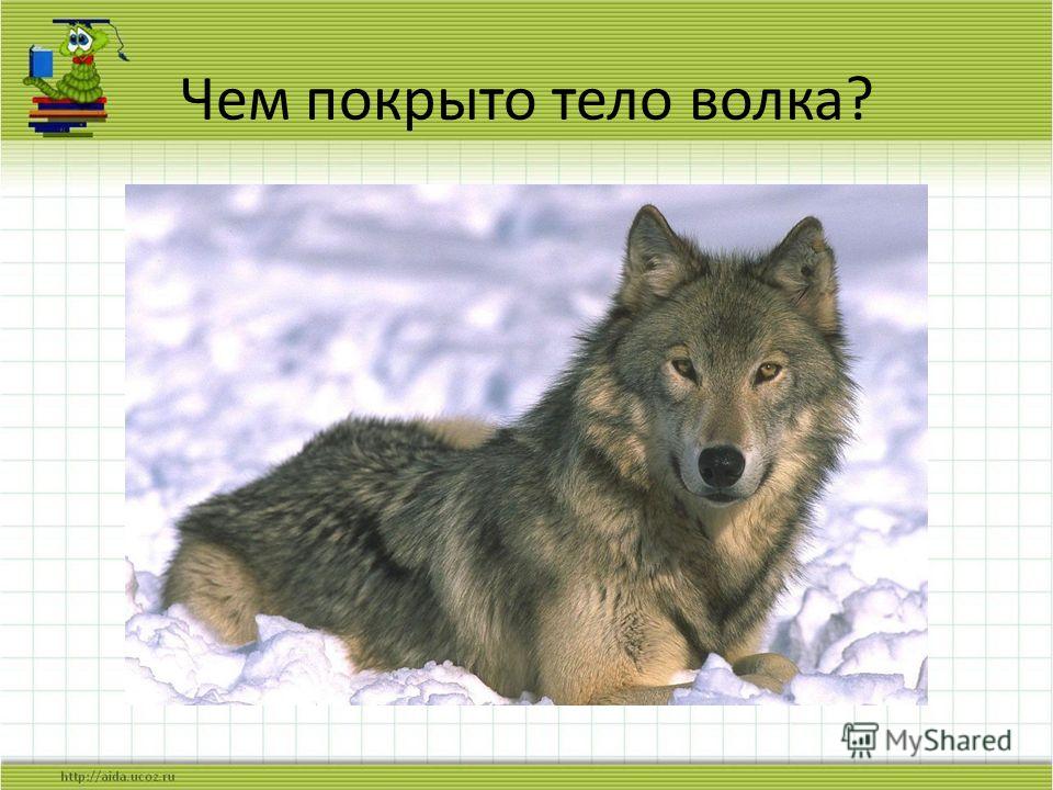 Сочинение по картинкам 3 класс канакина новый год для зверят