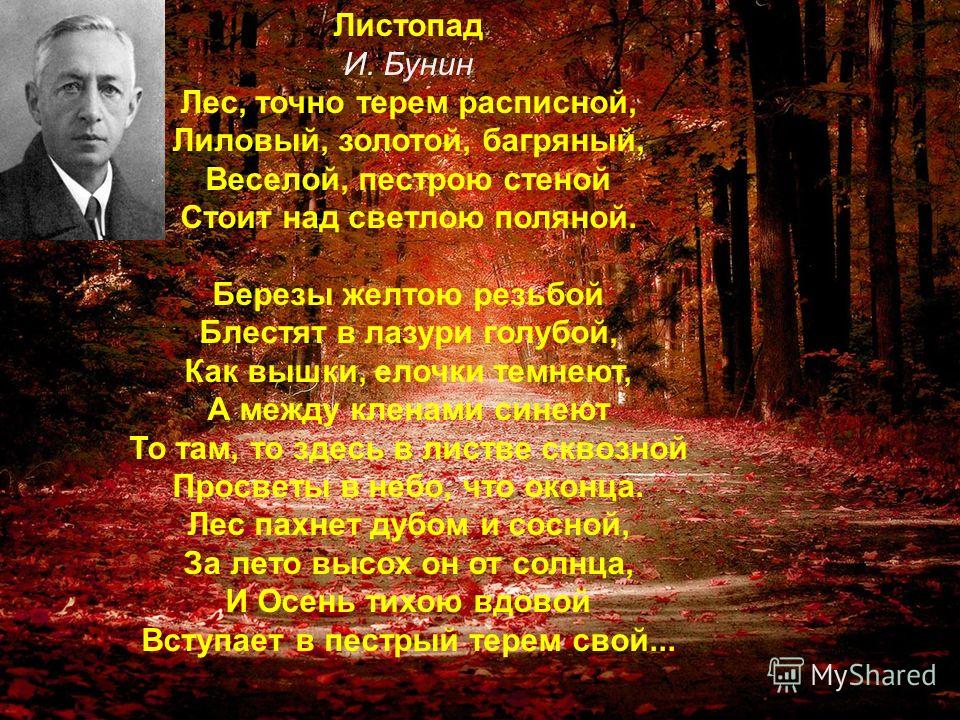 бунин скачать стихи