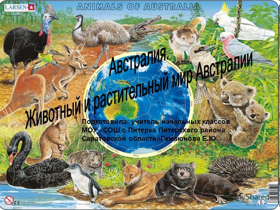 Газета колымские новости архив