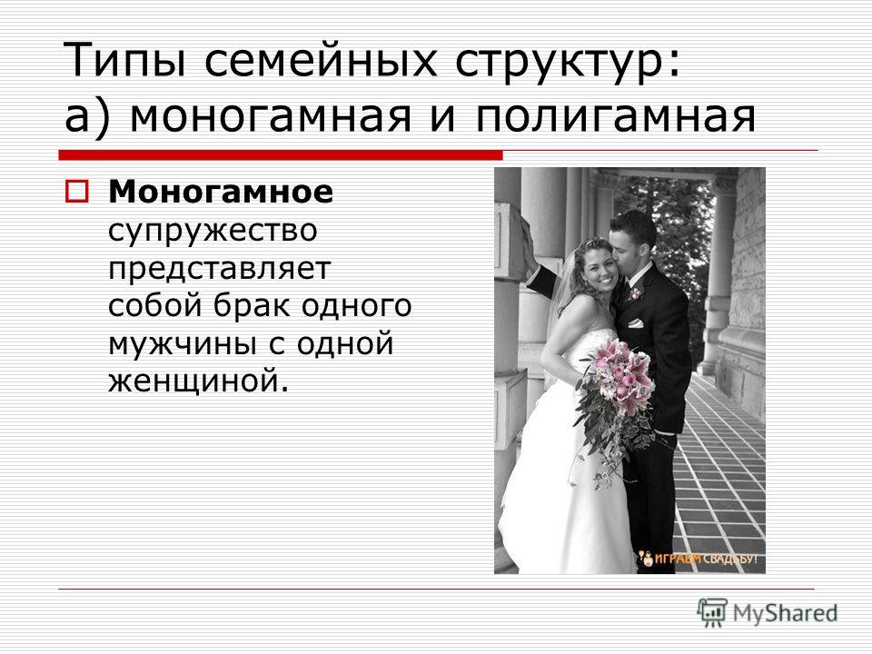 Что значит моногамное отношение Что значит моногамное отношение