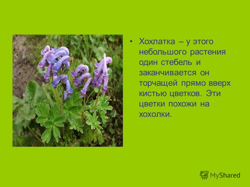 Посадка на ласточку на белорусском вокзале Посадка на ласточку на белорусском вокзале
