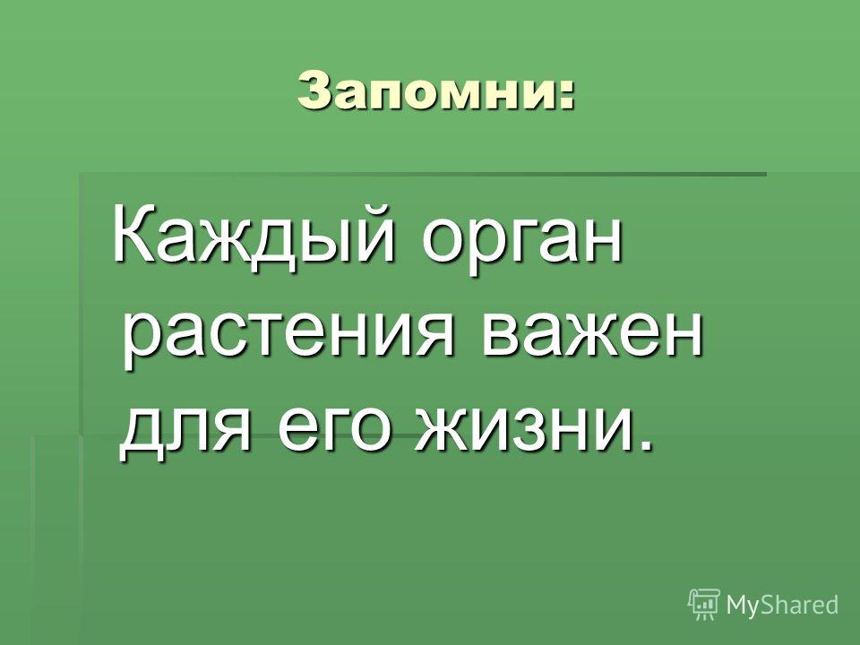 Мандала Цветок жизни: мандала исполнения желаний, значение 2 Тайна Цветка Жизни раскрывается / Древняя Тайна Цветка Жизни. Том 1