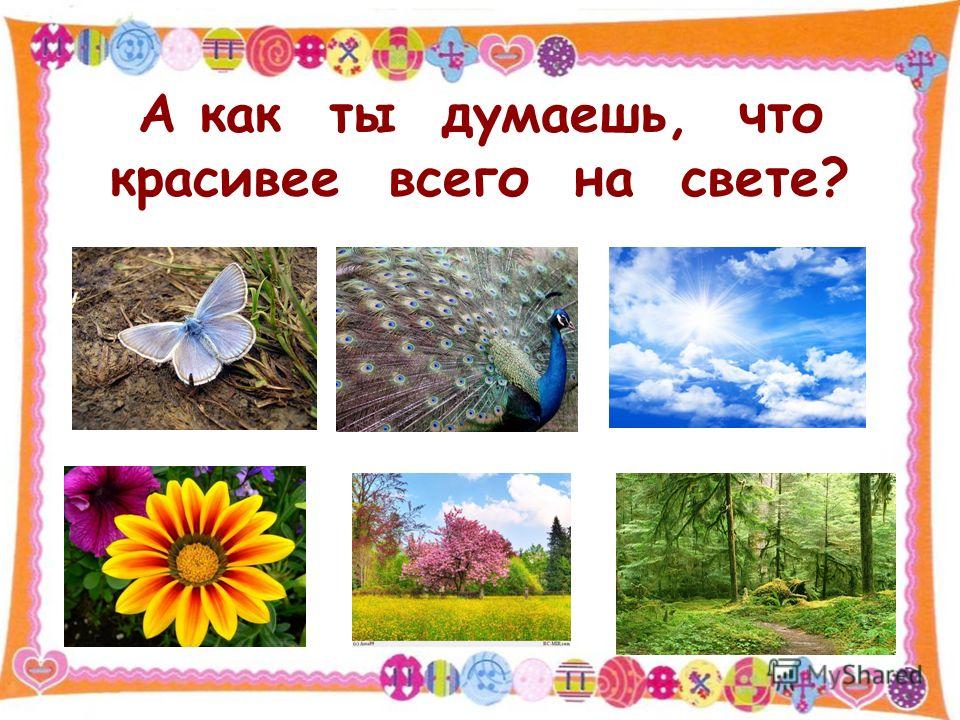 Стих что на свете красивей всего Стих что на свете красивей всего