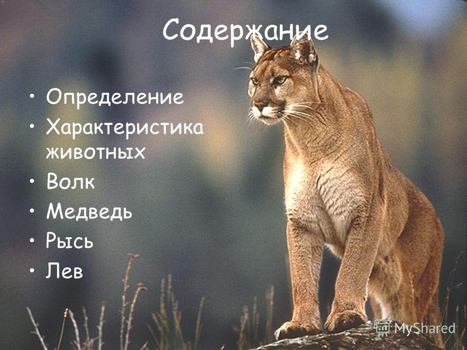 Содержание Определение Характеристика животных Волк Медведь Рысь Лев