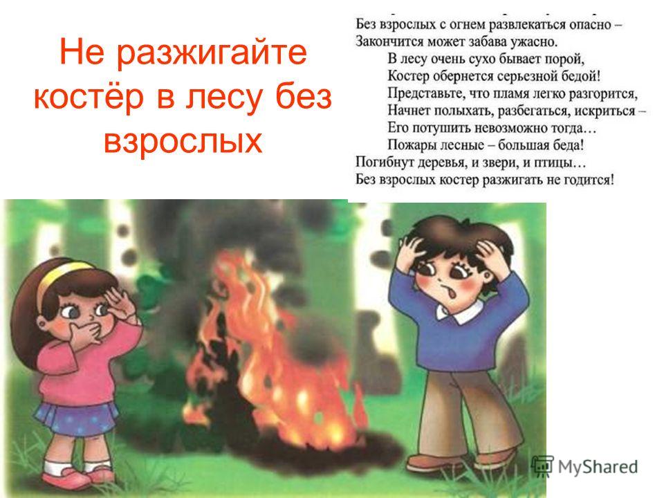 Не разжигайте костёр в лесу без взрослых