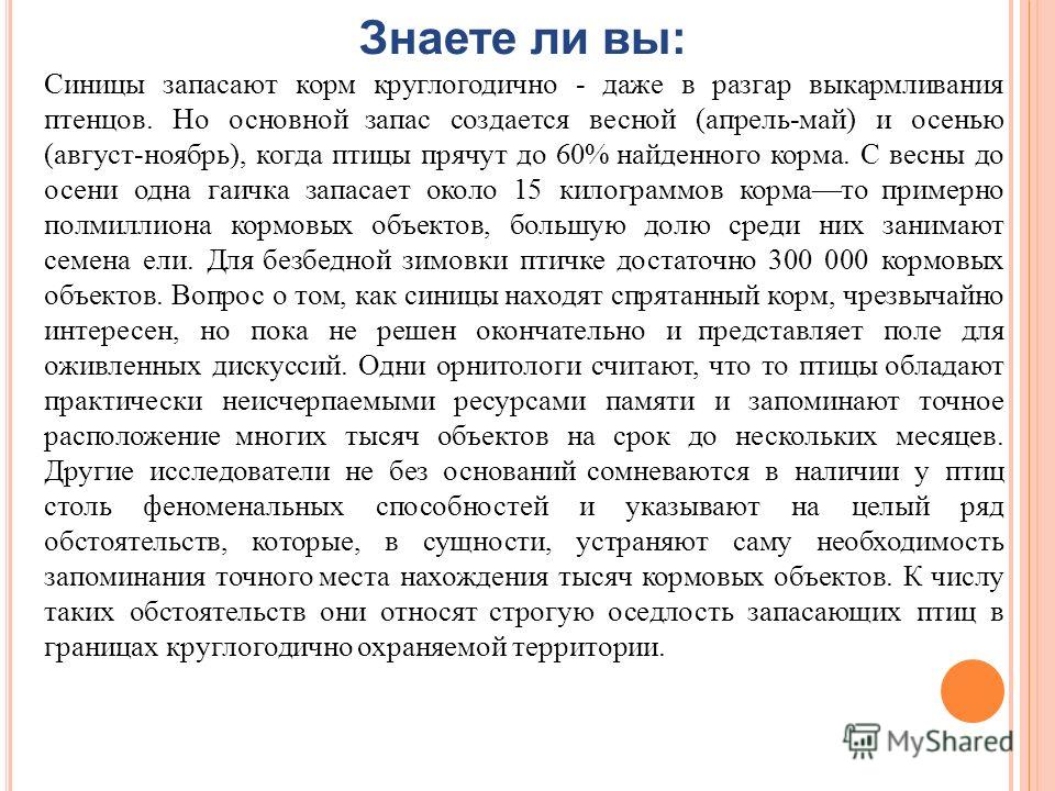 Две синички весной картинки Две синички весной картинки