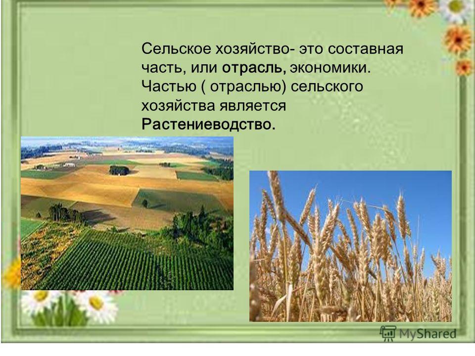 Сельское хозяйство- это составная часть, или отрасль, экономики. Частью ( отраслью) сельского хозяйства является Растениеводство.