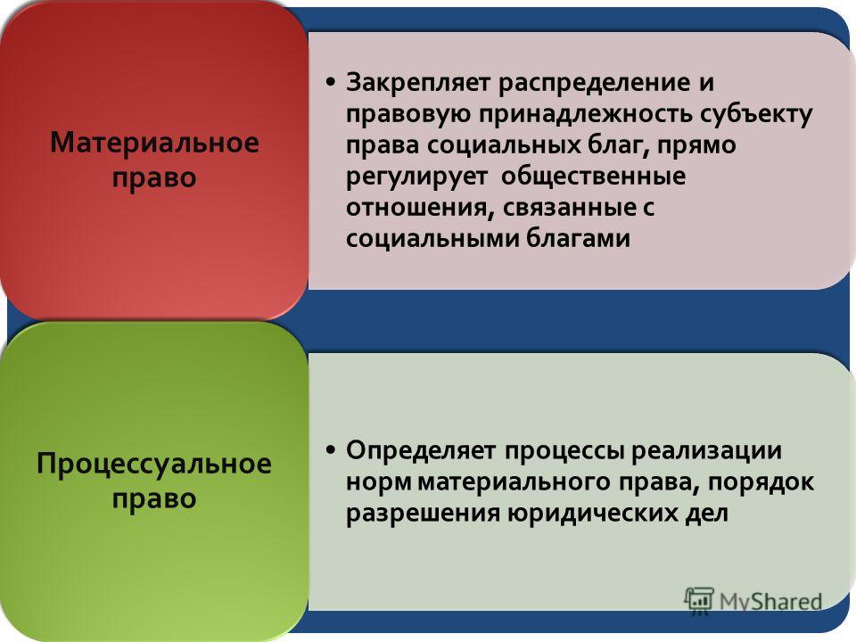 Кровотечения у кошек и как их остановить Кармен Электра: когда без макияжа лучше
