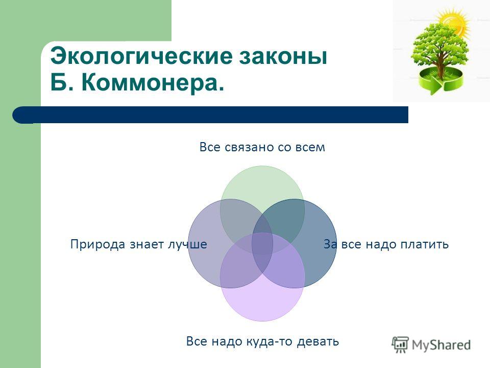 Эссе На Тему Природа Знает Лучше Эссе На Тему Природа Знает Лучше