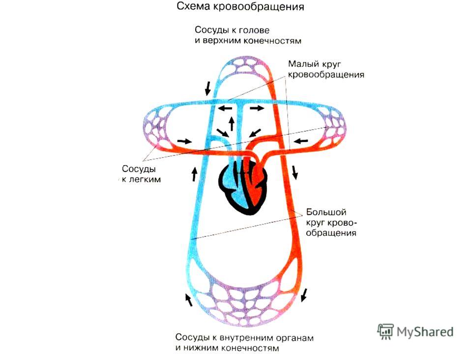 Украшения из полимерной глины: серьги-зонтики своими руками Украшения из полимерной глины: серьги-зонтики своими руками