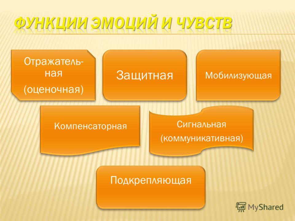 Как сделать презентацию на ноутбуке? видео уроки Как сделать презентацию без программы PowerPoint?