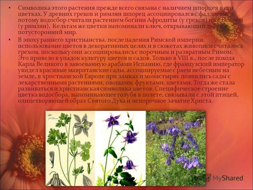 Всего связаны с растениями Всего связаны с растениями
