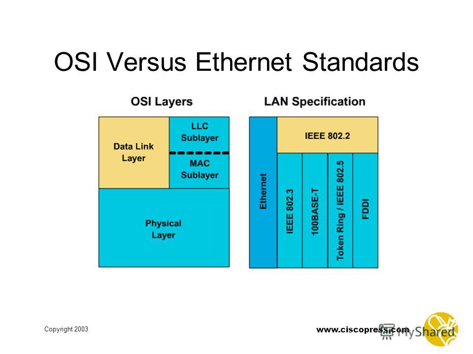 physical layer and lans what role physical layer and lans what role