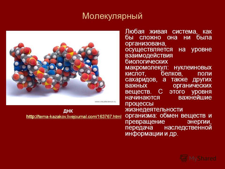 Структурная клетка рисунок Структурная клетка рисунок