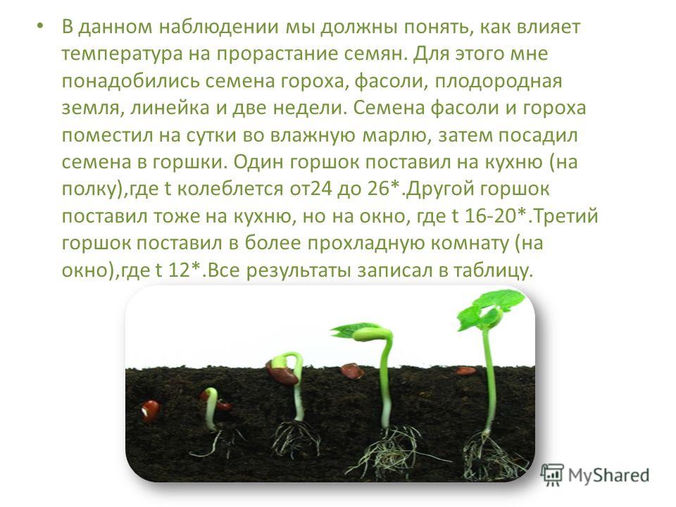 Презентация на тему: ""Я - исследователь" Ученицы 1"а" класса МОУ НОШ "Открытие"