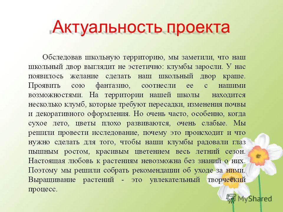 Актуальность проекта создание мультфильма