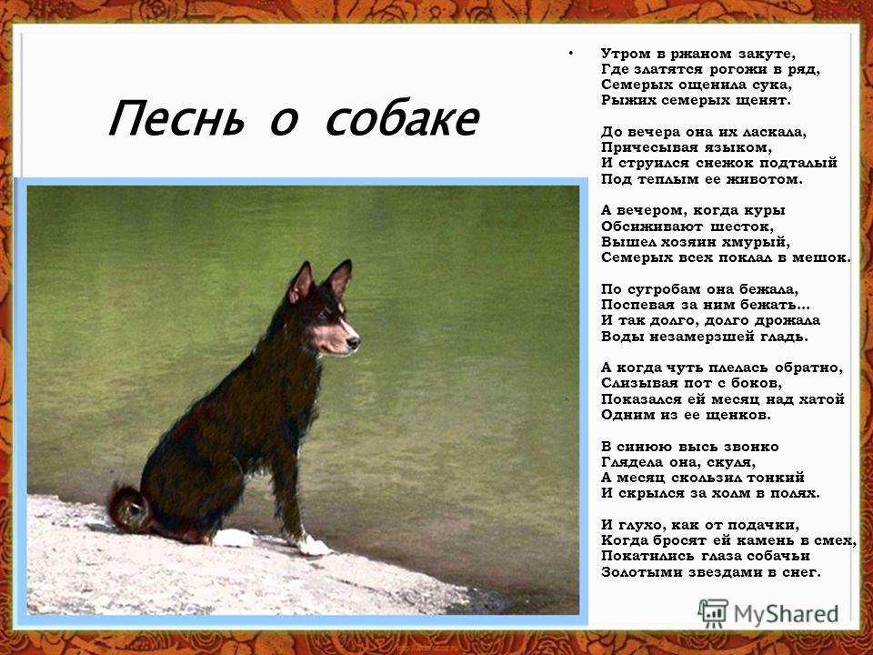 Стих есенина про собаку и щенят Стих есенина про собаку и щенят