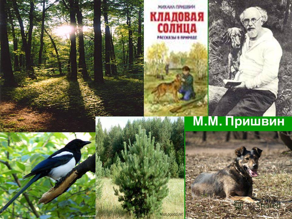 Картинки с зимой надписи