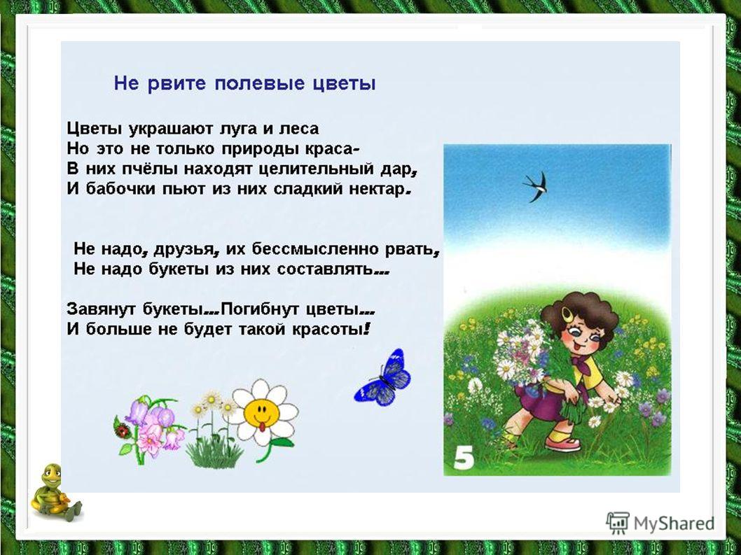 Сценарий по экологии о цветах Сценарий по экологии о цветах