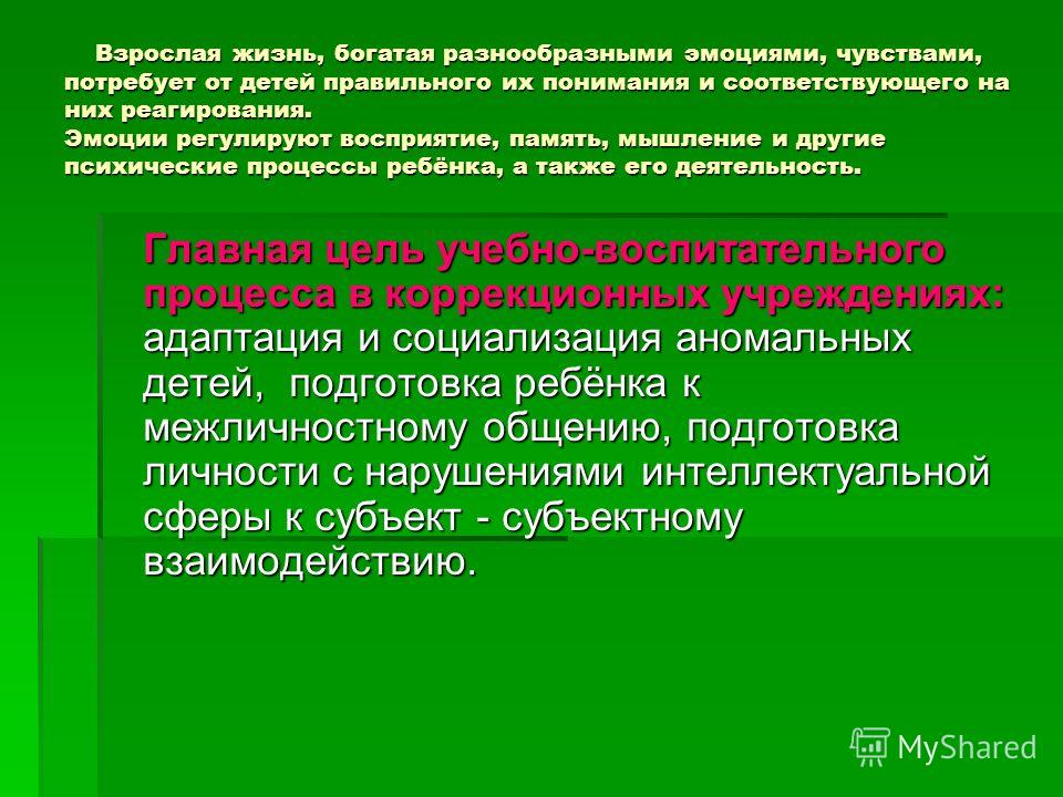 Реферат: Эмоционально-волевая сфера дошкольника