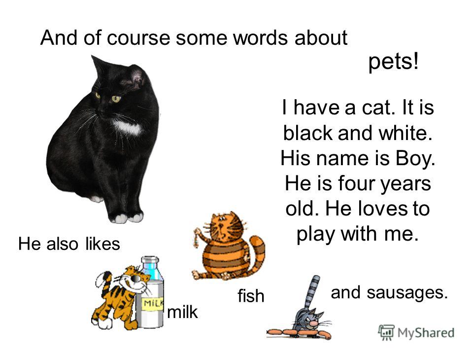 And of course some words about pets! I have a cat. It is black and white. His name is Boy. He is four years old. He loves to play with me. He also likes milk fish and sausages.