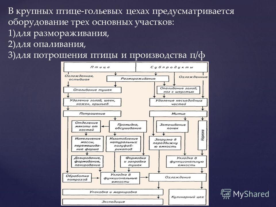 Цех птицегольевой схема