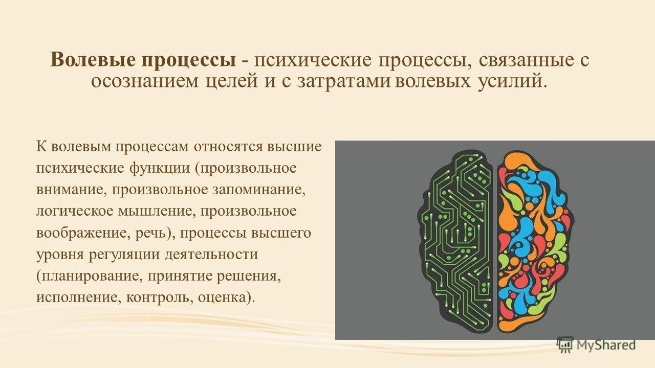Цитаты связанные с войной Цитаты связанные с войной