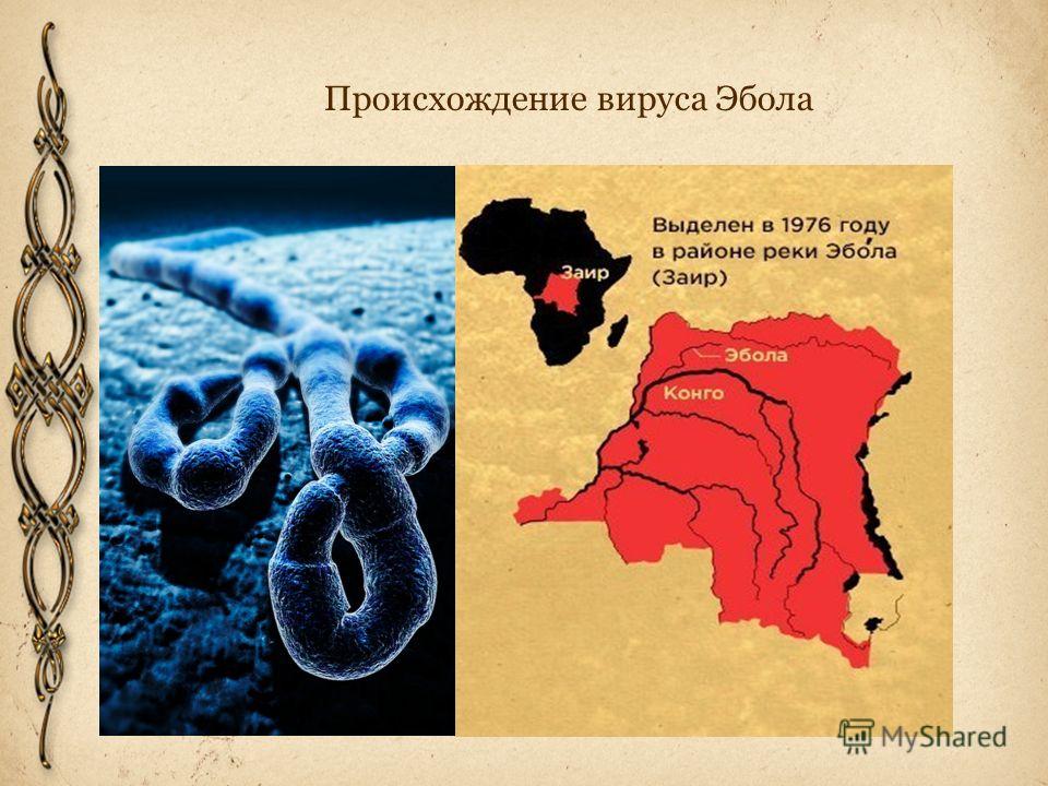 Происхождение вируса Эбола