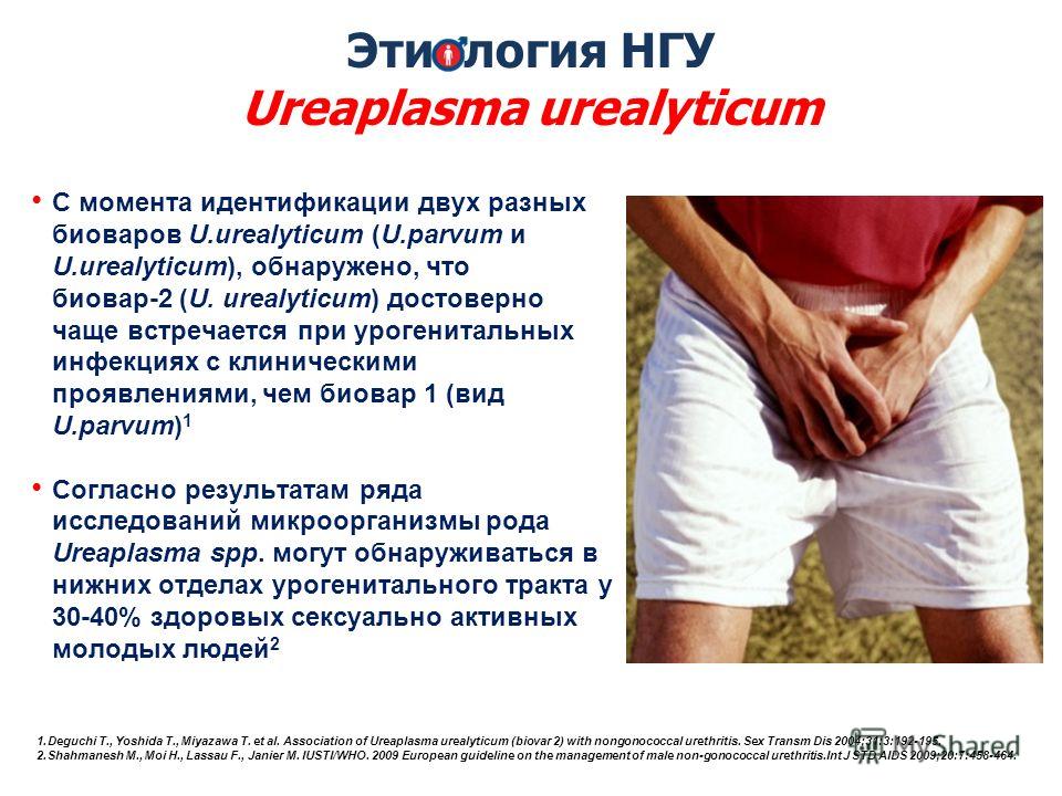 У мужа уреаплазма я беременна 28
