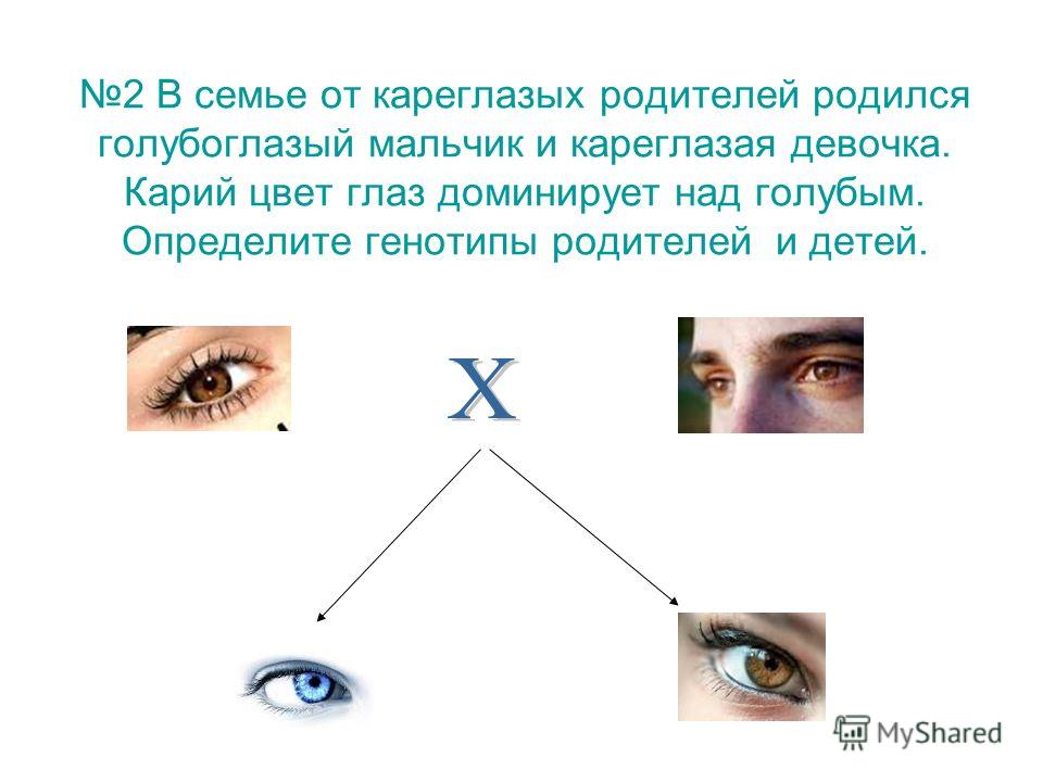 Приватный порно кастинг закончился для кареглазой модели окончанием на ягодицы