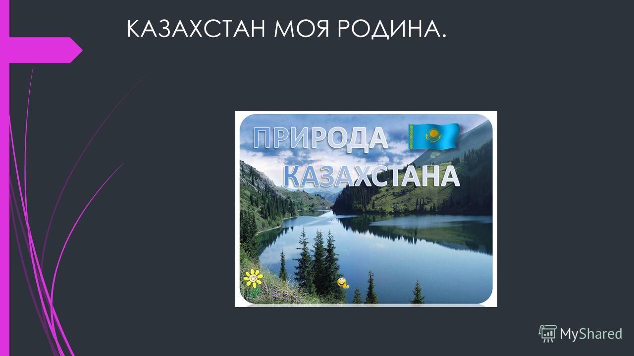 Чем питается сорока зимой? Чем питается сорока зимой?