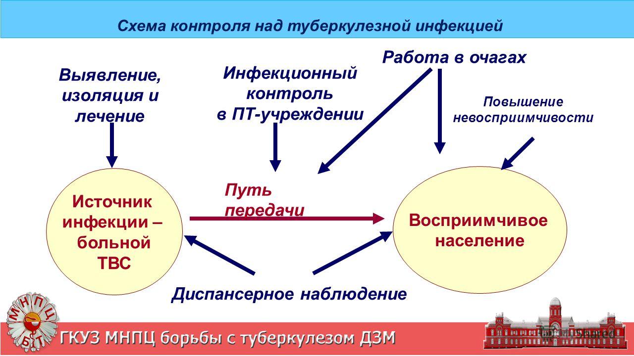 Схема выявления туберкулеза Схема выявления туберкулеза