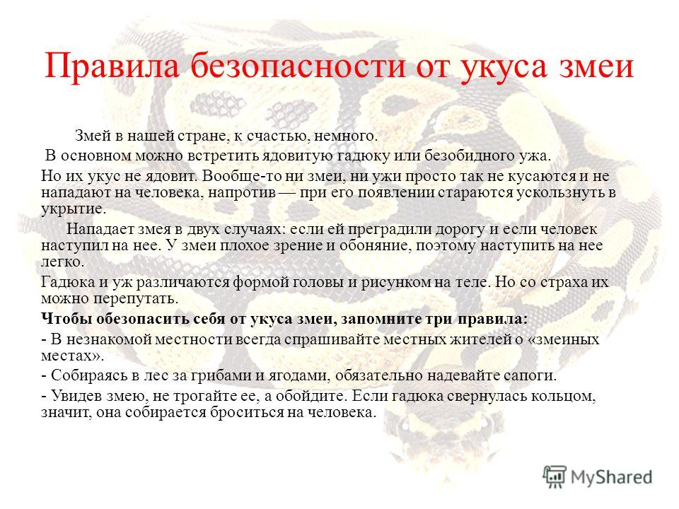 Поговорка на тему наша природа Поговорка на тему наша природа