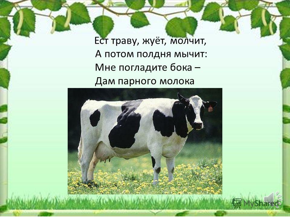Рассказ о домашних животных на татарском языке для 4 класса