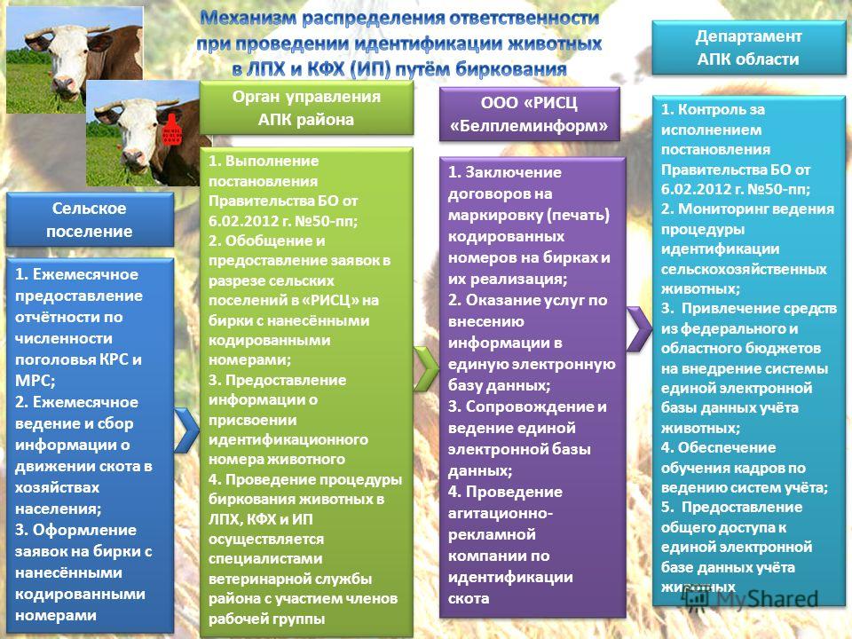 План развития личного подсобного хозяйства