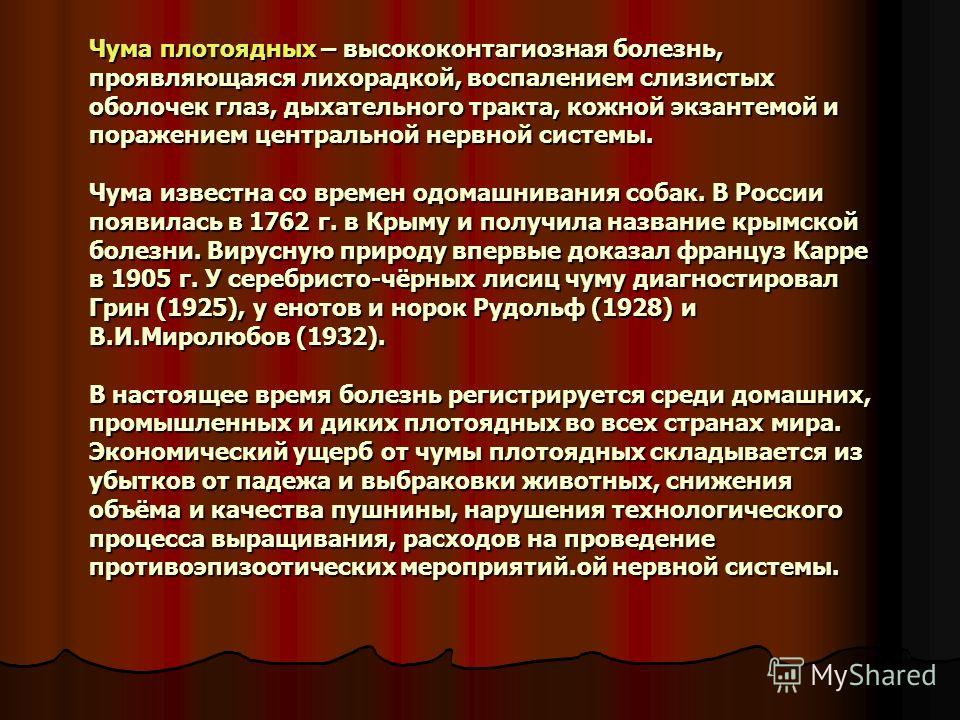 Презентация Про Чуму