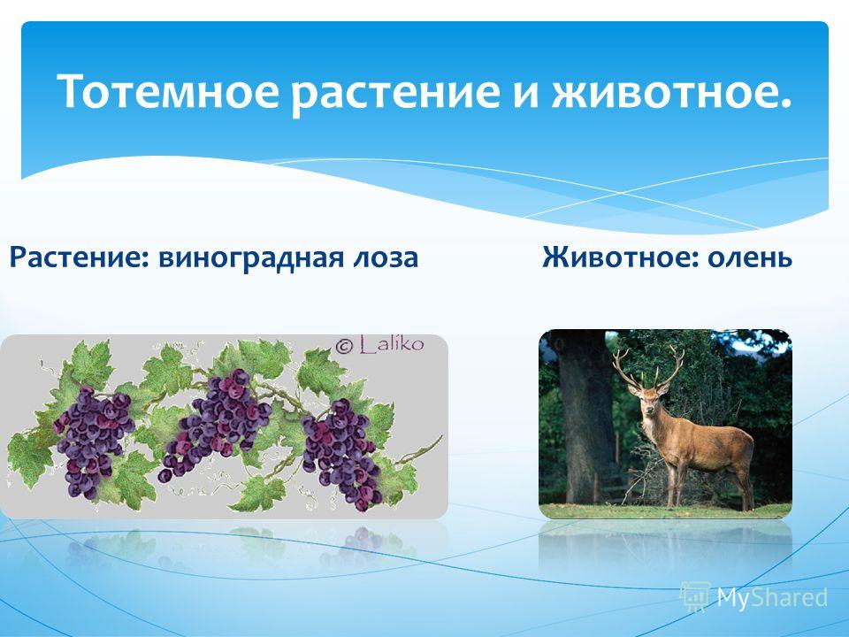 Скачать происхождение имени юлия презентация