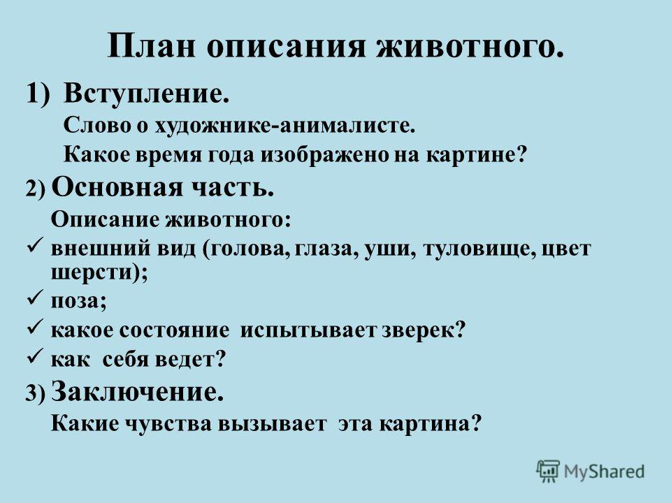 Сочинение Описание Зайца Сочинение Описание Зайца