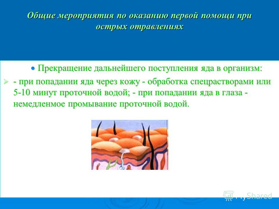 Первая помощь при попадании яда на кожу Первая помощь при попадании яда на кожу
