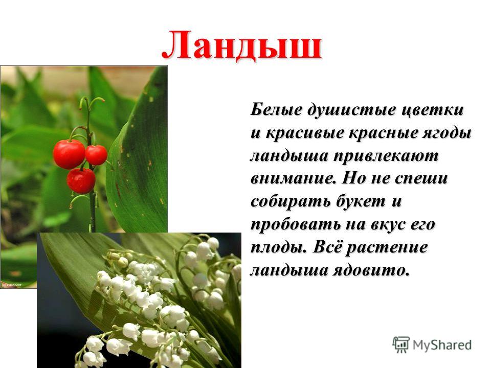 Физика решение задач по учебнику генденштейн 7 класс Физика, Учебник, Класс