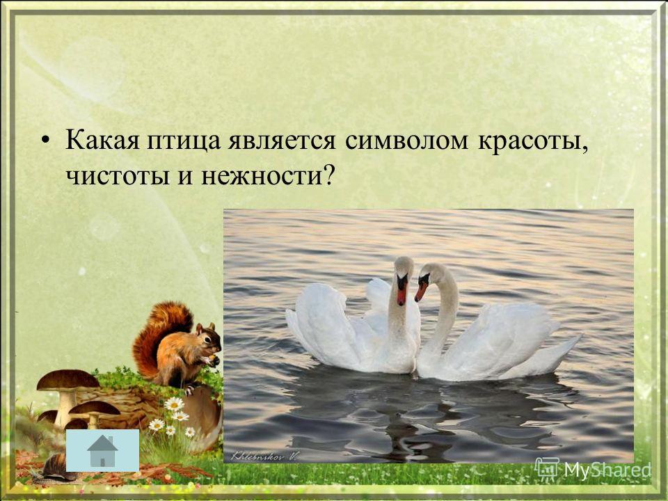 Кто является символом красоты Кто является символом красоты
