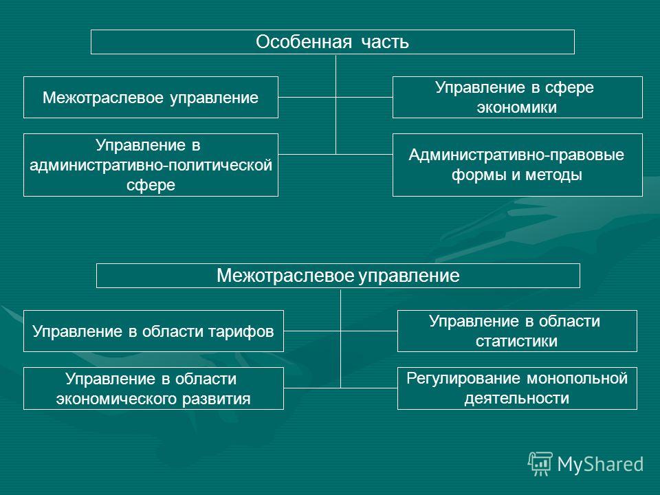 Акты межотраслевого государственного управления в теории административного права также называются актами Министерство экономики и торговли ЛНР обнародовало