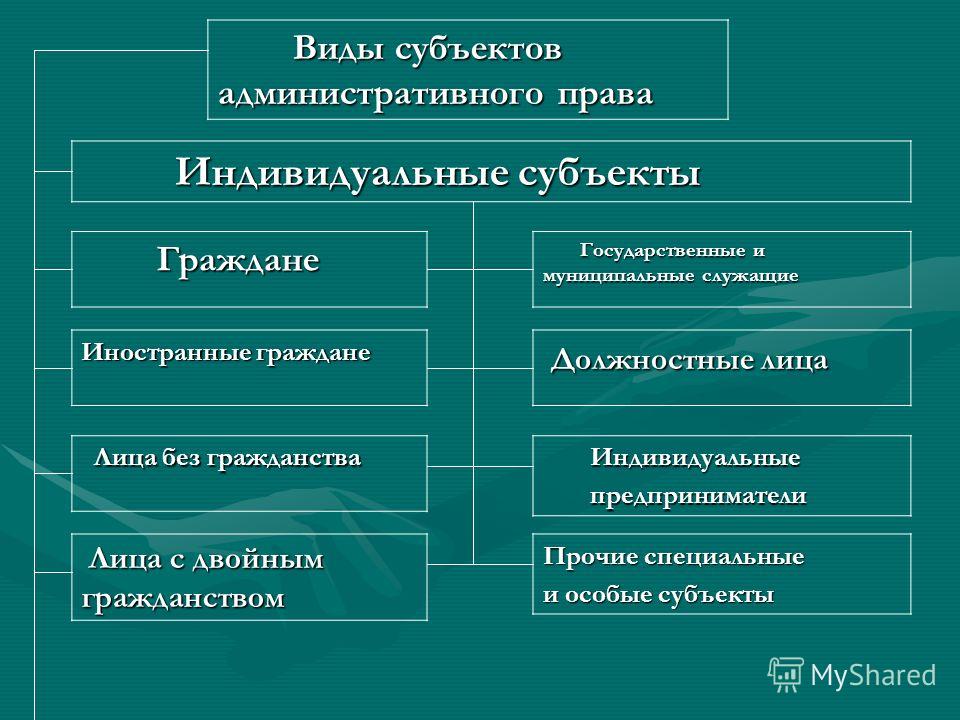 Источники Административного Права И Их Виды Реферат Источники Административного Права И Их Виды Реферат