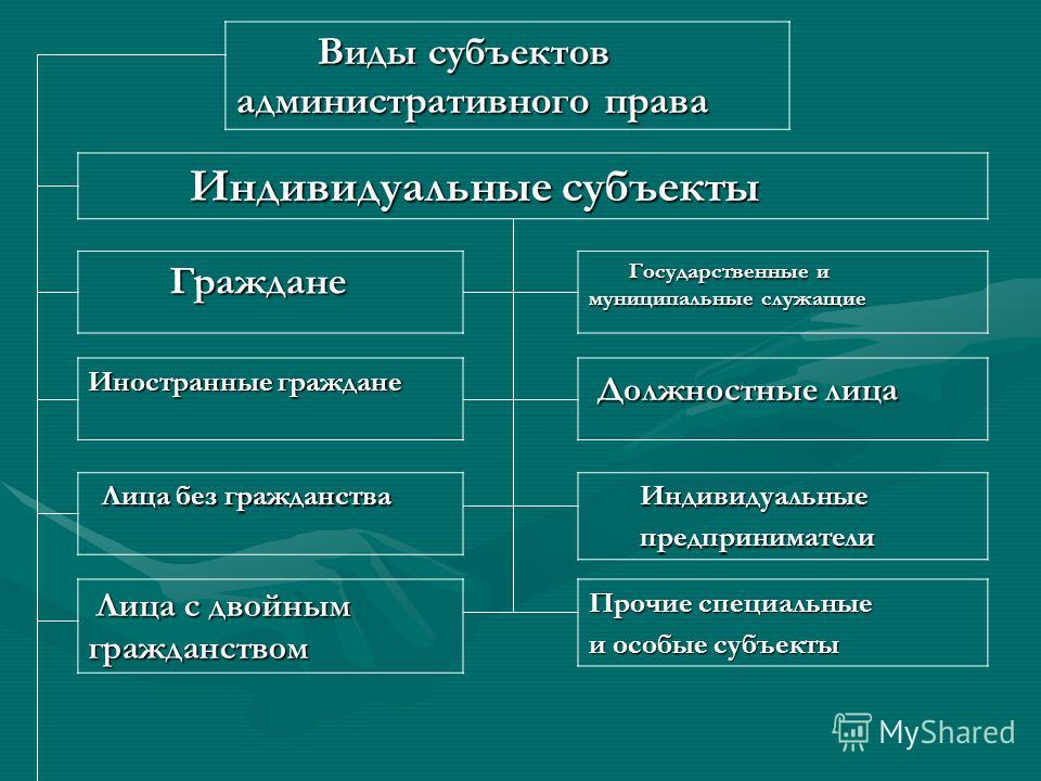 Реферат: Субъекты административного права 5