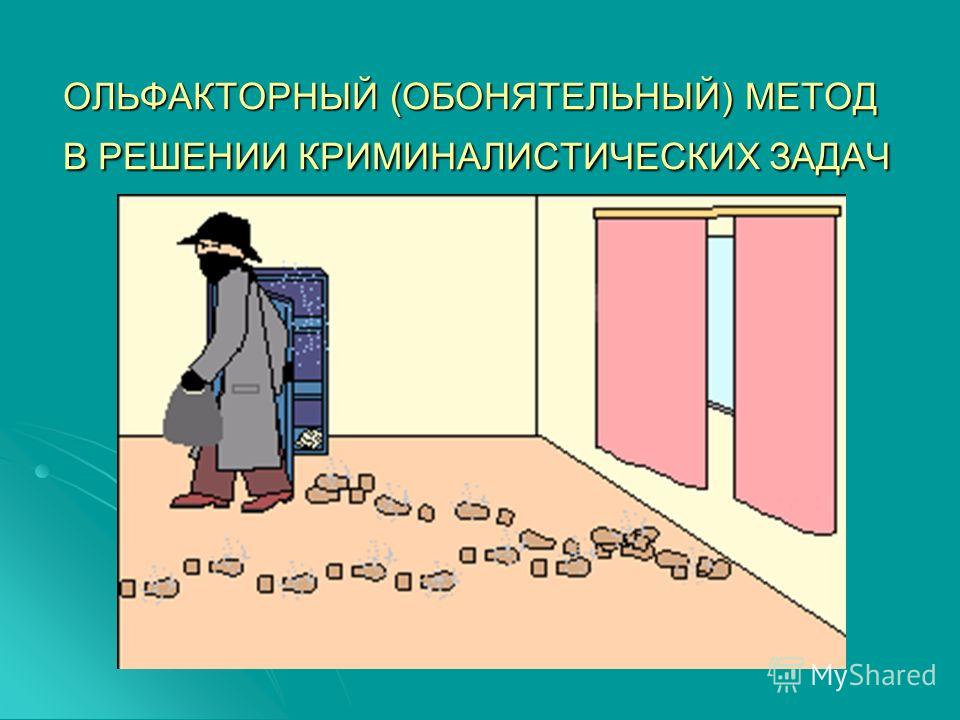 задачки в картинках по криминалистике онлайн задачки в картинках по криминалистике