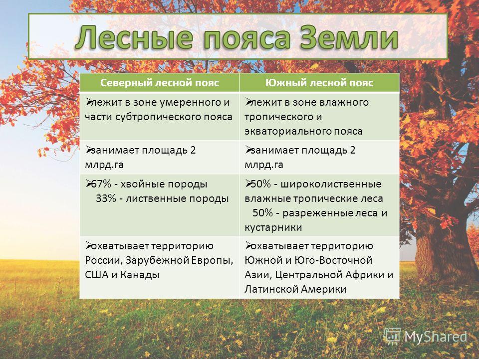 Северный лесной пояс какие страны