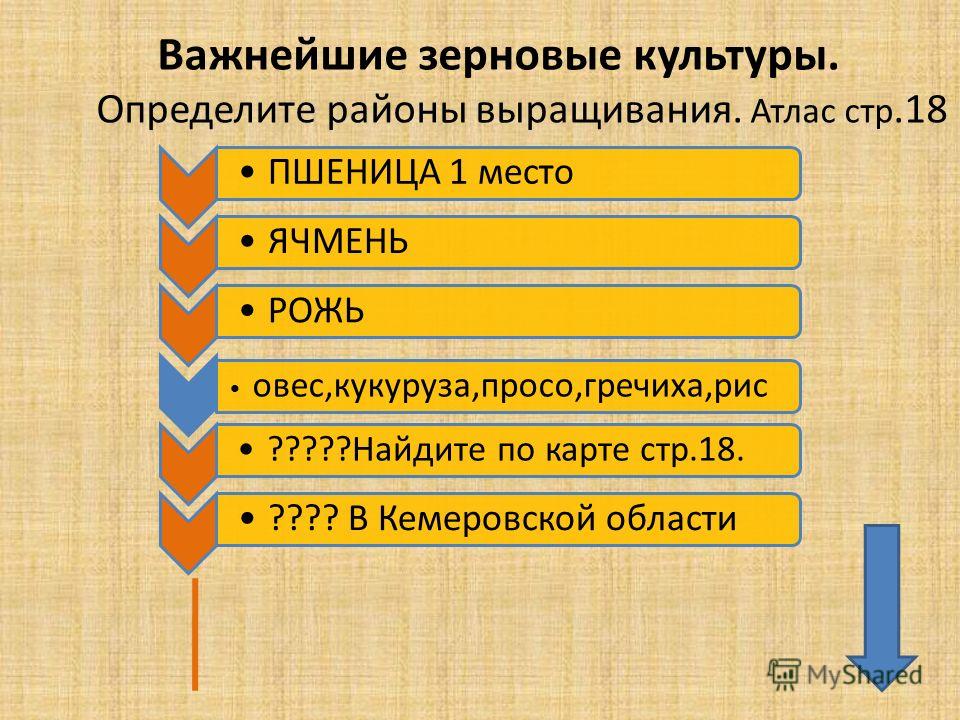 Основные районы выращивания ржи 79