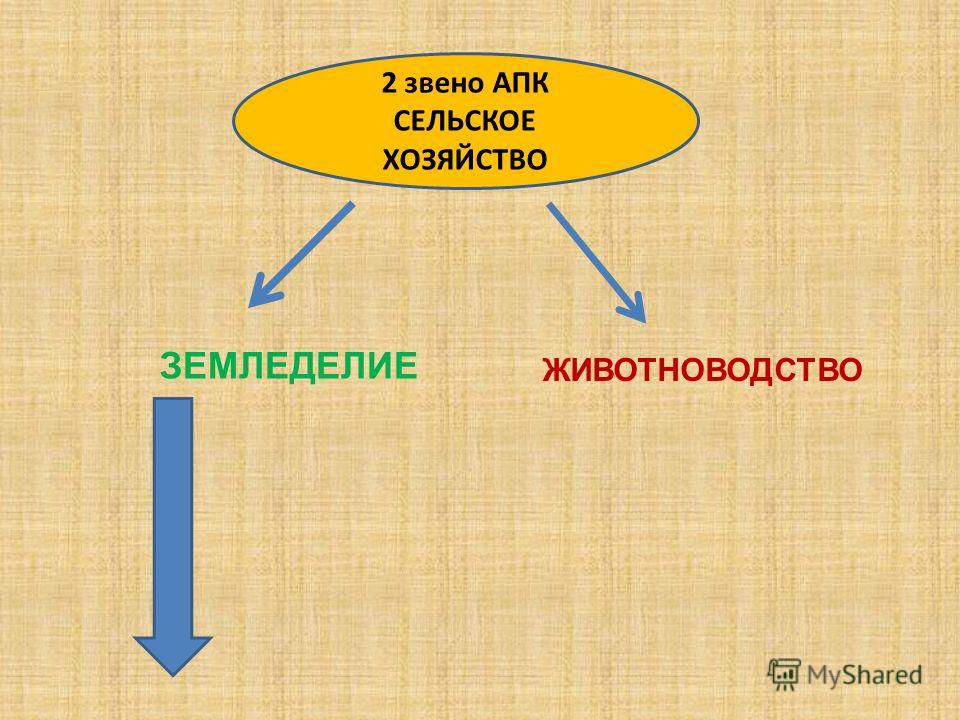 Основным звеном апк является тест - Вопросы и ответы