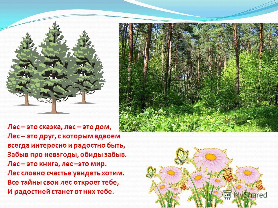 Дневник По Природоведению 2(3)Кл - Елена Лисицына